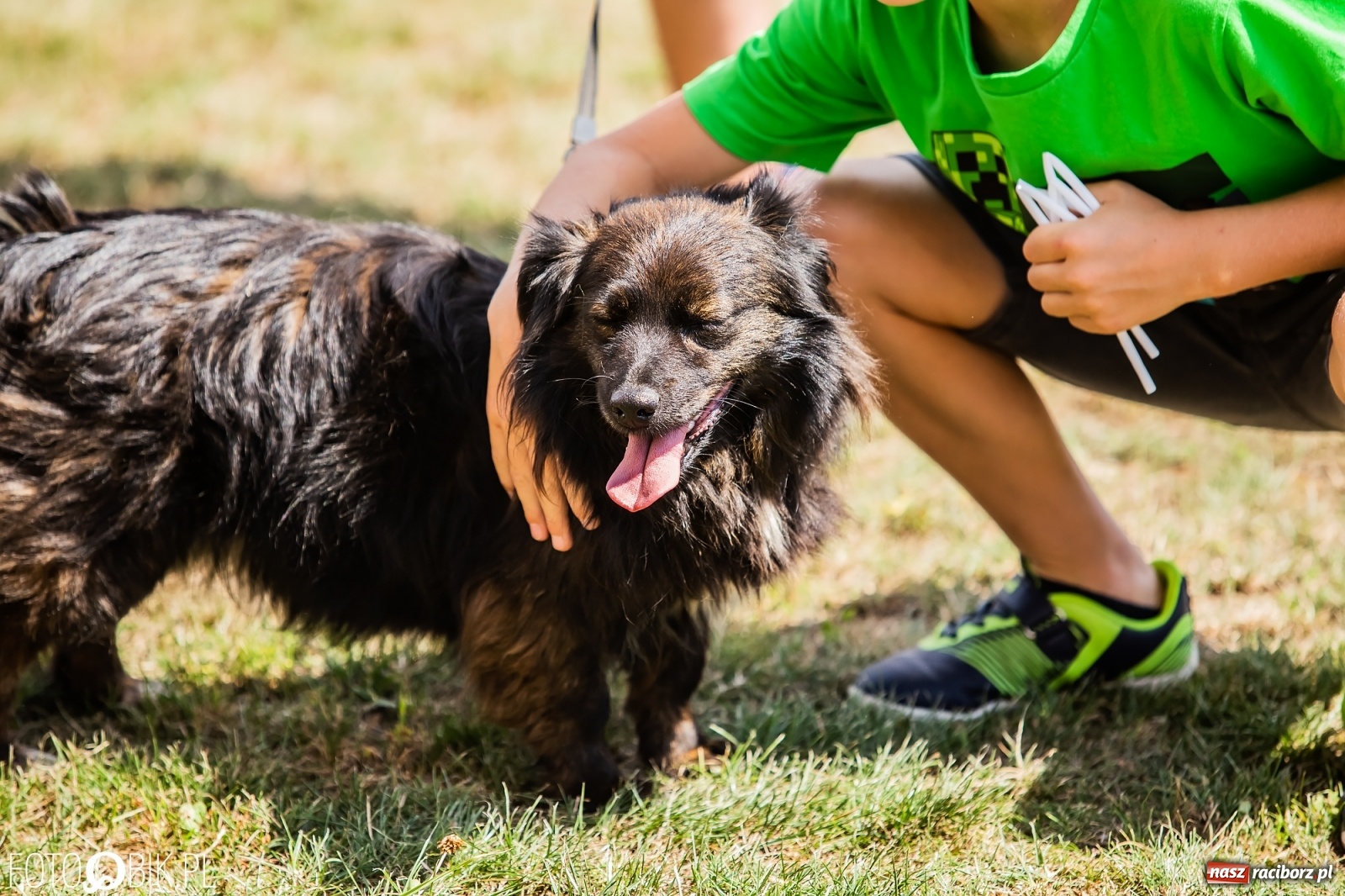 Zdjęcie w galerii na portalu naszraciborz.pl: I raciborskie zawody w dogtrekkingu [FOTO i WIDEO] wiadomości z regionu