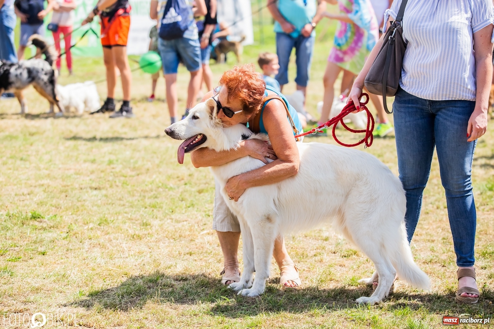 Zdjęcie w galerii na portalu naszraciborz.pl: I raciborskie zawody w dogtrekkingu [FOTO i WIDEO] wiadomości z regionu