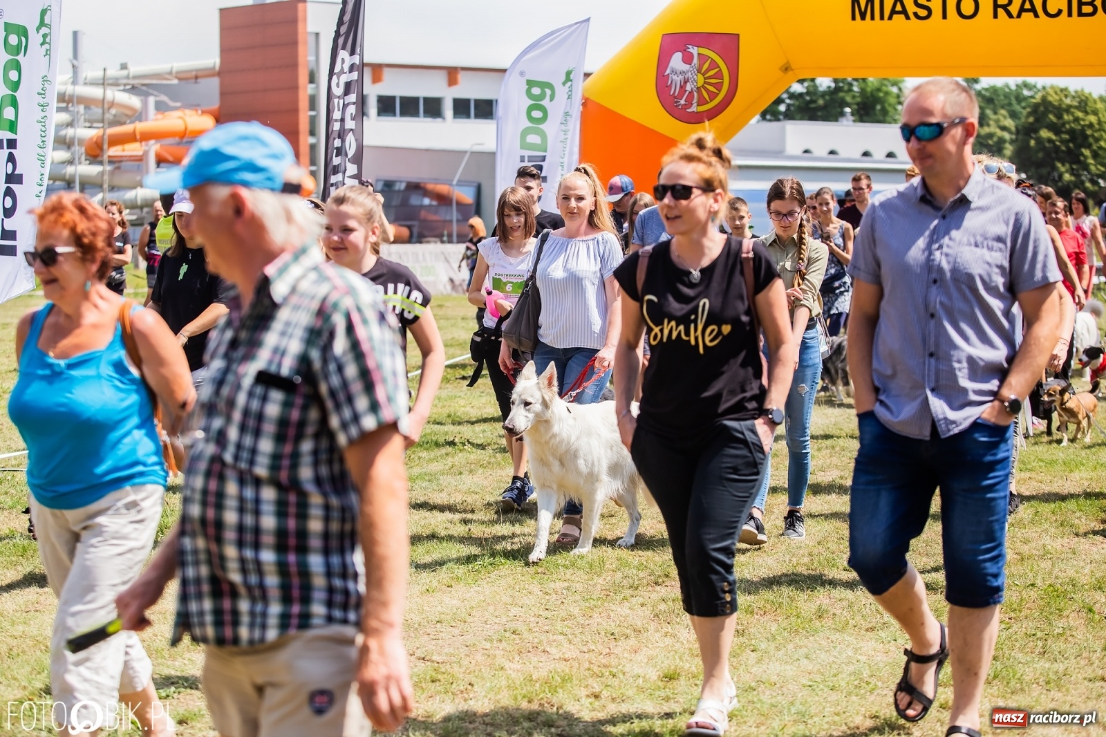 Zdjęcie w galerii na portalu naszraciborz.pl: I raciborskie zawody w dogtrekkingu [FOTO i WIDEO] wiadomości z regionu