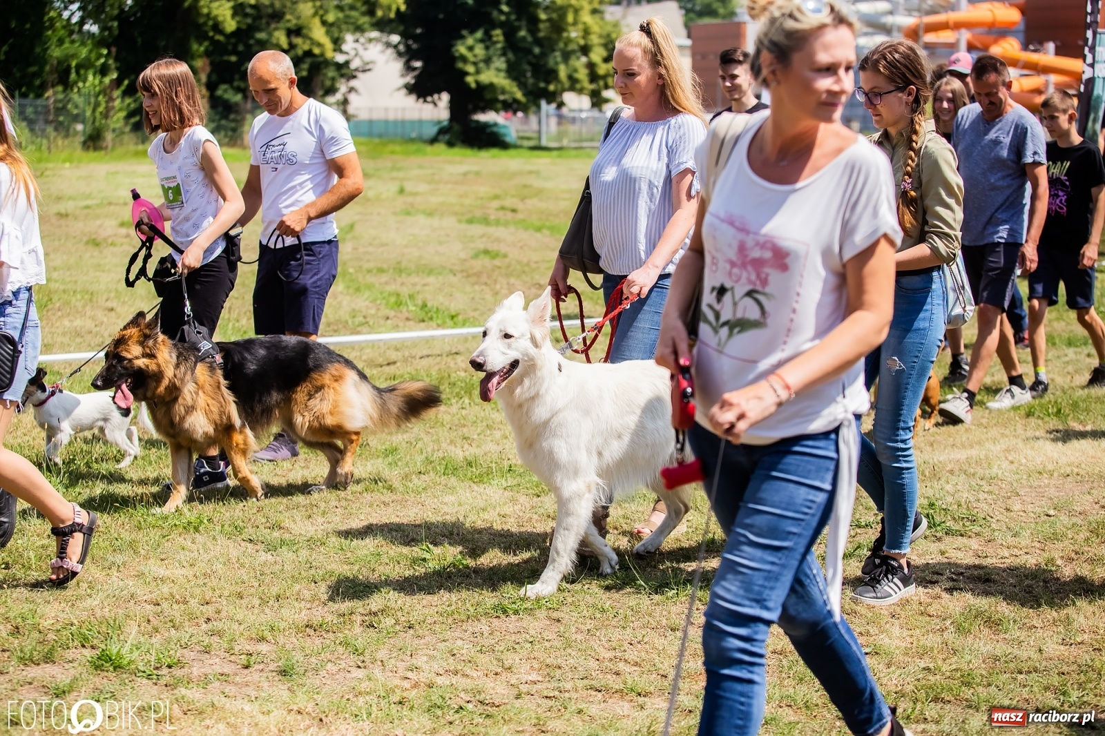 Zdjęcie w galerii na portalu naszraciborz.pl: I raciborskie zawody w dogtrekkingu [FOTO i WIDEO] wiadomości z regionu