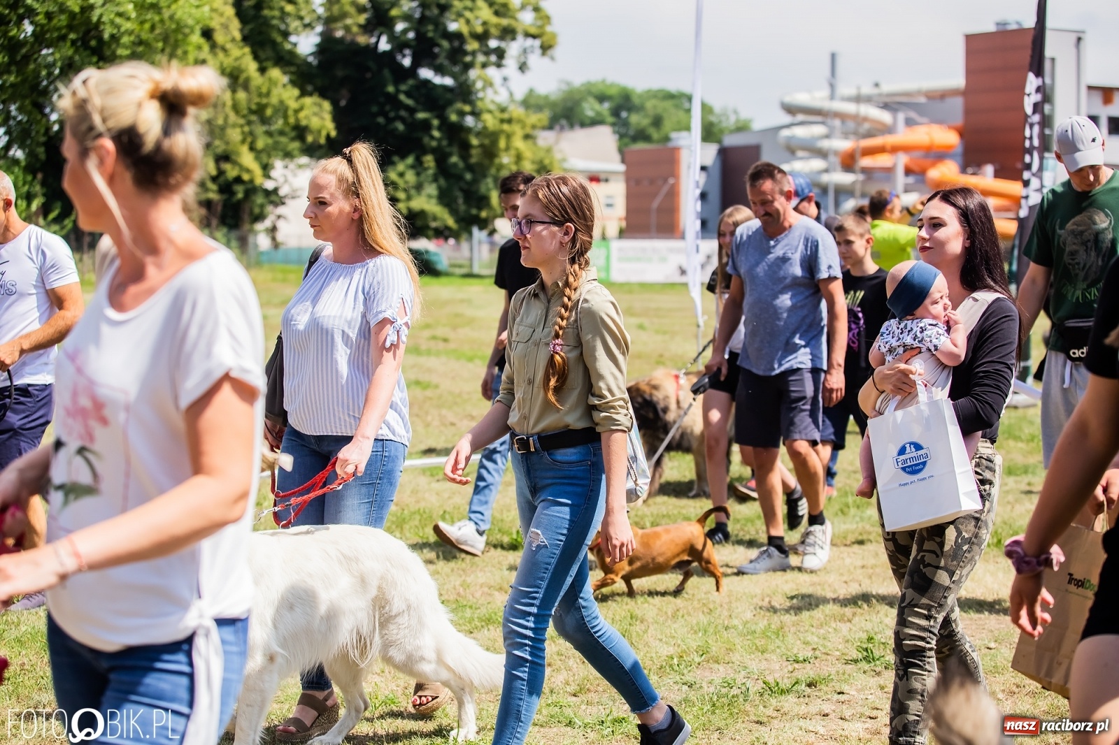Zdjęcie w galerii na portalu naszraciborz.pl: I raciborskie zawody w dogtrekkingu [FOTO i WIDEO] wiadomości z regionu