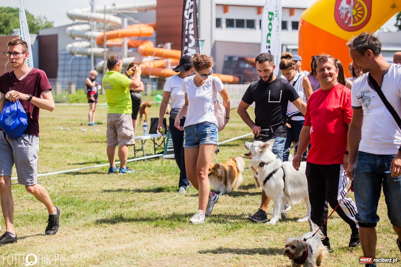 Zdjęcie w galerii na portalu naszraciborz.pl: I raciborskie zawody w dogtrekkingu [FOTO i WIDEO] wiadomości z regionu