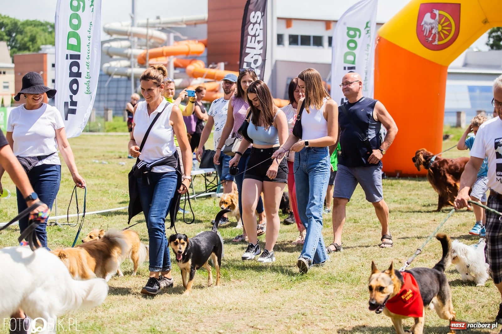 Zdjęcie w galerii na portalu naszraciborz.pl: I raciborskie zawody w dogtrekkingu [FOTO i WIDEO] wiadomości z regionu