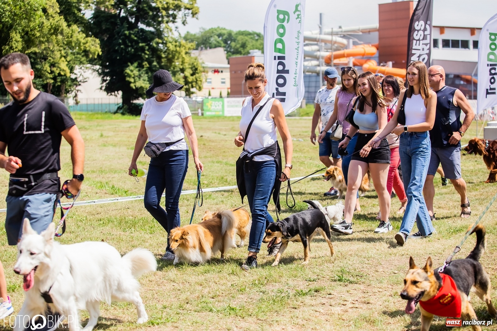 Zdjęcie w galerii na portalu naszraciborz.pl: I raciborskie zawody w dogtrekkingu [FOTO i WIDEO] wiadomości z regionu