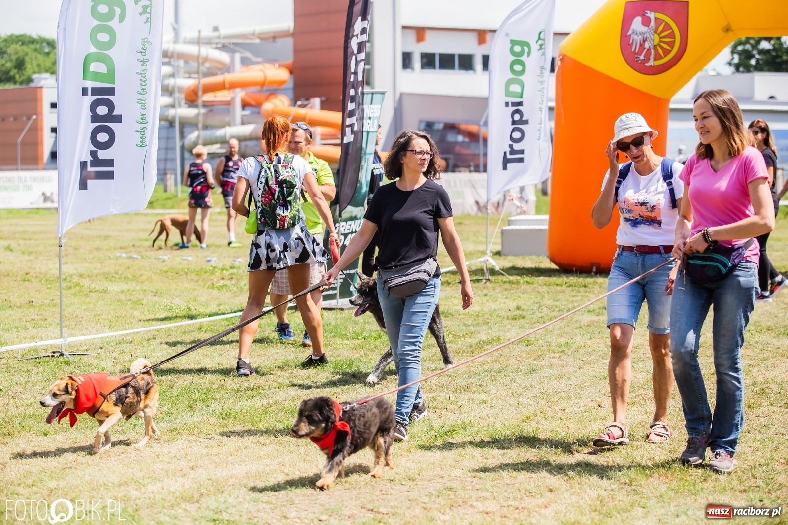 Zdjęcie w galerii na portalu naszraciborz.pl: I raciborskie zawody w dogtrekkingu [FOTO i WIDEO] wiadomości z regionu