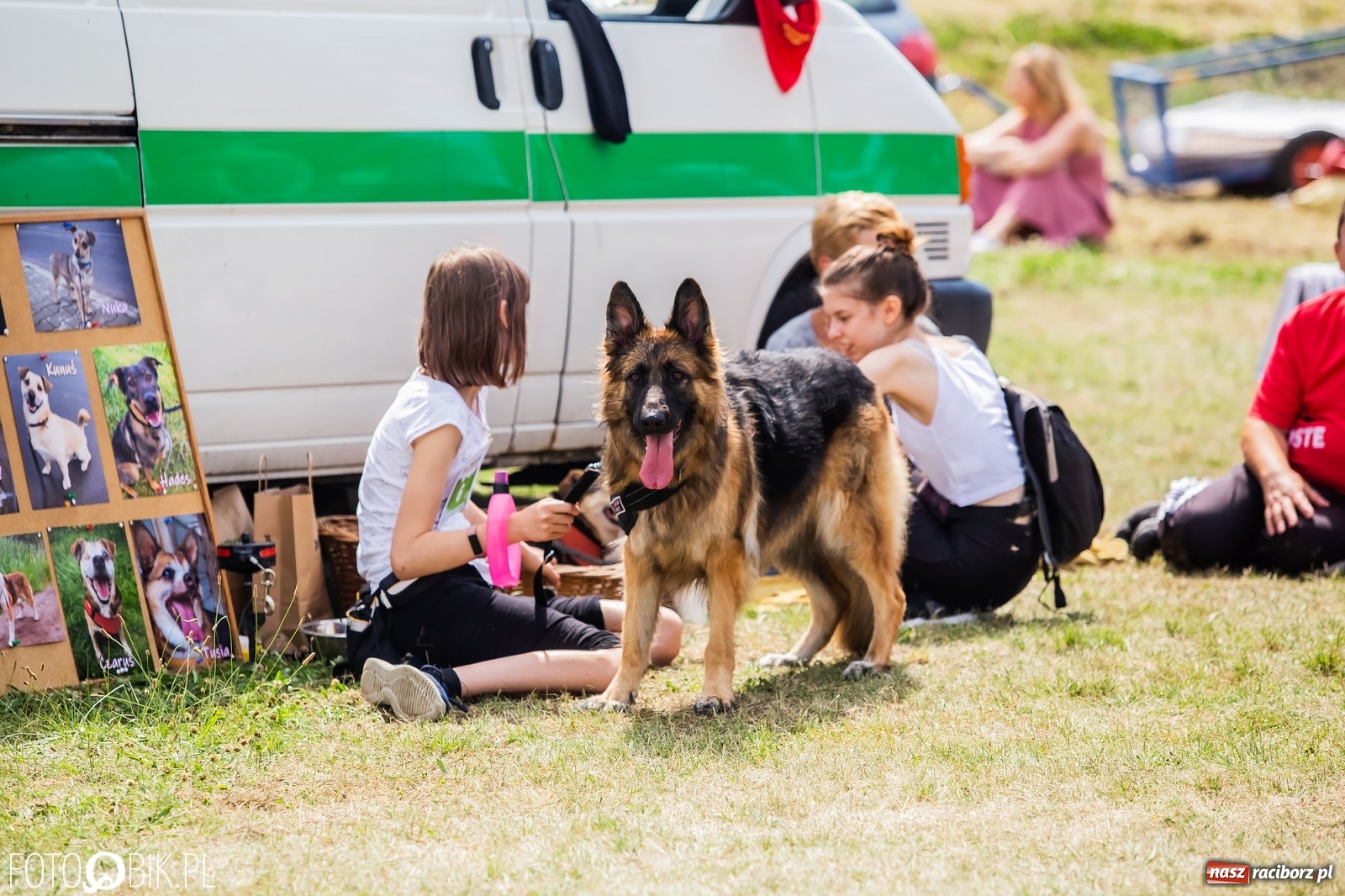 Zdjęcie w galerii na portalu naszraciborz.pl: I raciborskie zawody w dogtrekkingu [FOTO i WIDEO] wiadomości z regionu