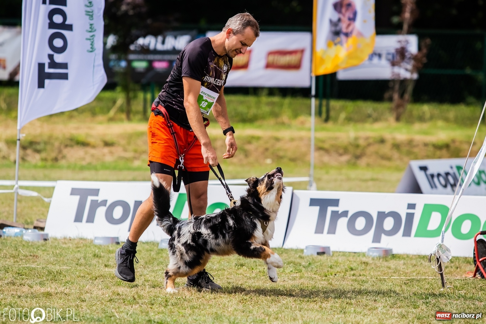 Zdjęcie w galerii na portalu naszraciborz.pl: I raciborskie zawody w dogtrekkingu [FOTO i WIDEO] wiadomości z regionu