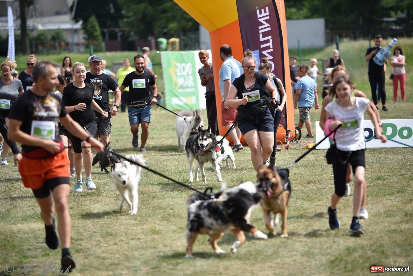 Zdjęcie w galerii na portalu naszraciborz.pl: I raciborskie zawody w dogtrekkingu [FOTO i WIDEO] wiadomości z regionu