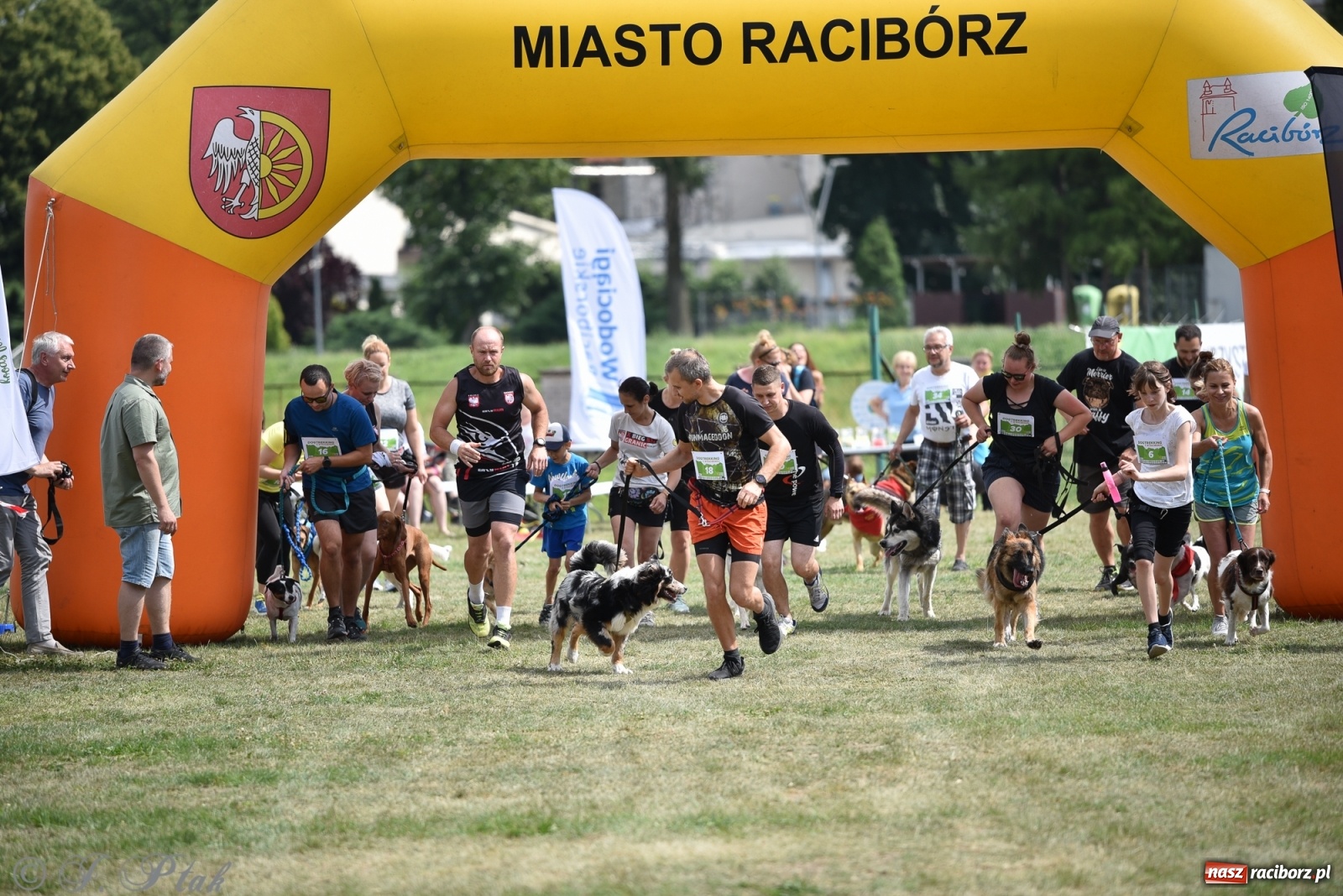 Zdjęcie w galerii na portalu naszraciborz.pl: I raciborskie zawody w dogtrekkingu [FOTO i WIDEO] wiadomości z regionu