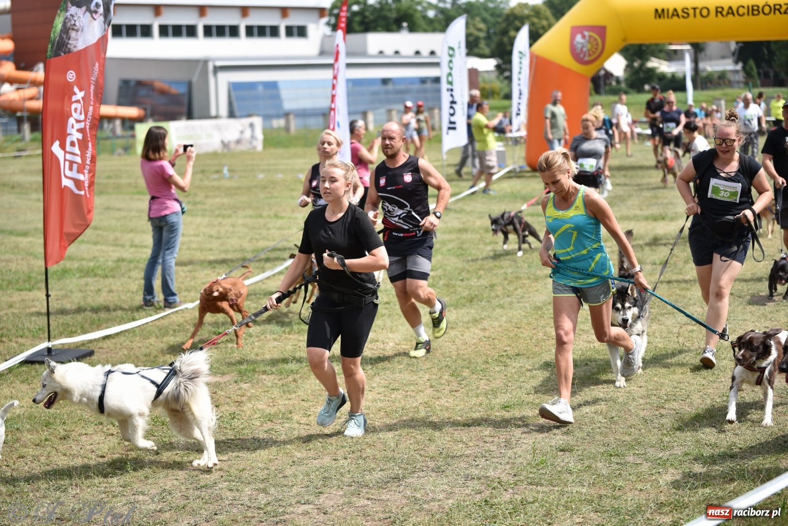 Zdjęcie w galerii na portalu naszraciborz.pl: I raciborskie zawody w dogtrekkingu [FOTO i WIDEO] wiadomości z regionu