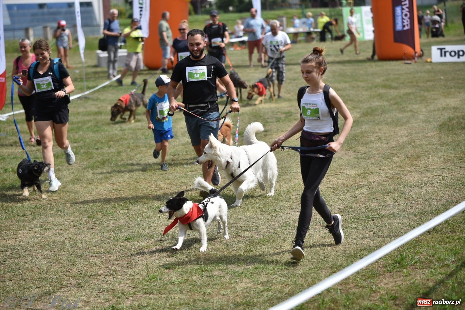 Zdjęcie w galerii na portalu naszraciborz.pl: I raciborskie zawody w dogtrekkingu [FOTO i WIDEO] wiadomości z regionu