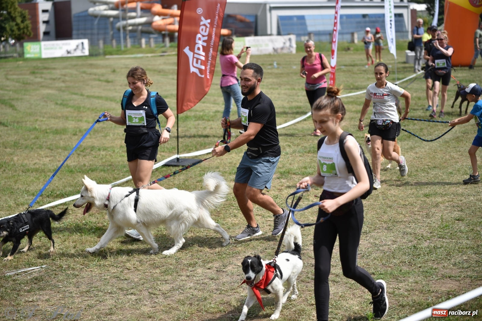 Zdjęcie w galerii na portalu naszraciborz.pl: I raciborskie zawody w dogtrekkingu [FOTO i WIDEO] wiadomości z regionu