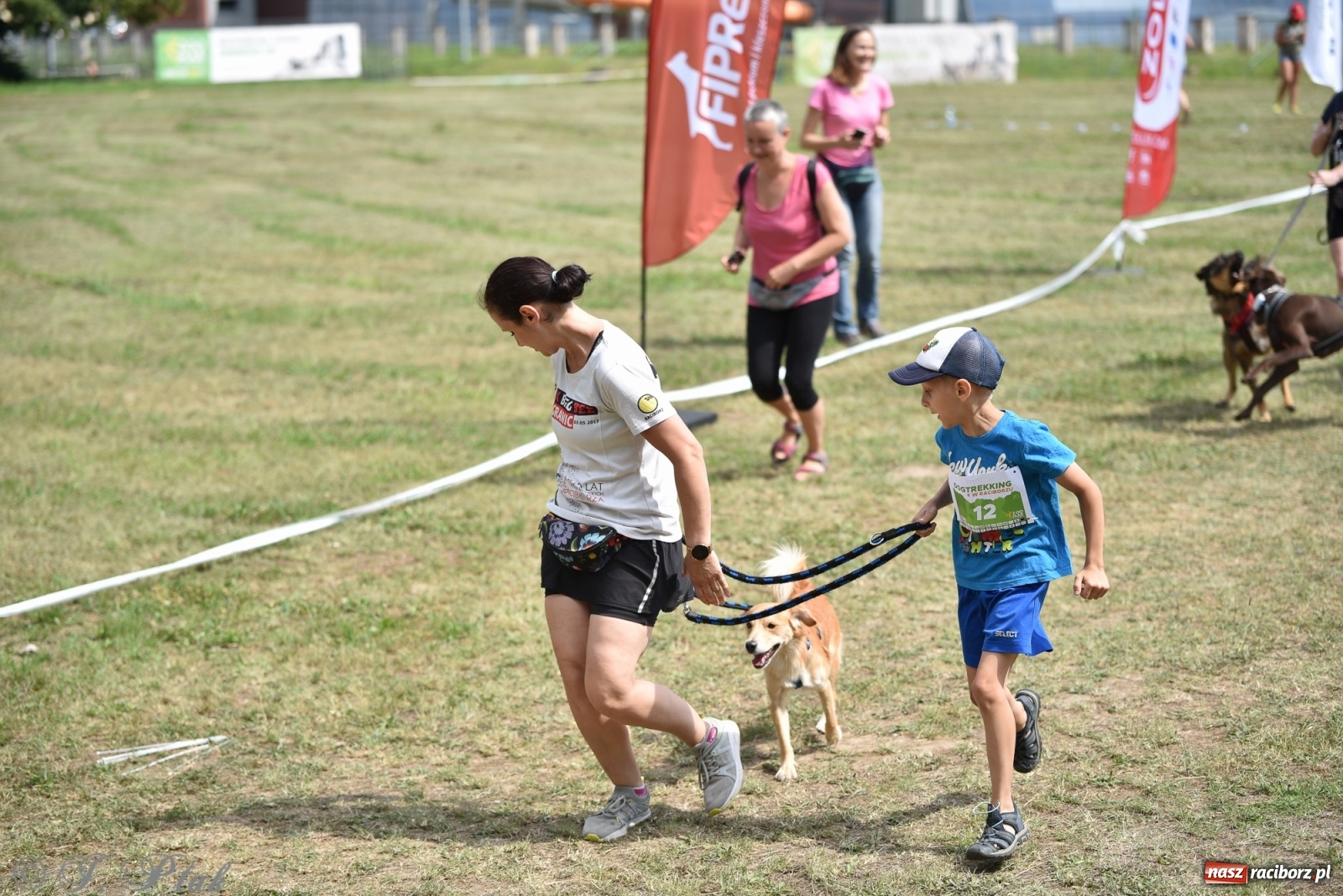 Zdjęcie w galerii na portalu naszraciborz.pl: I raciborskie zawody w dogtrekkingu [FOTO i WIDEO] wiadomości z regionu