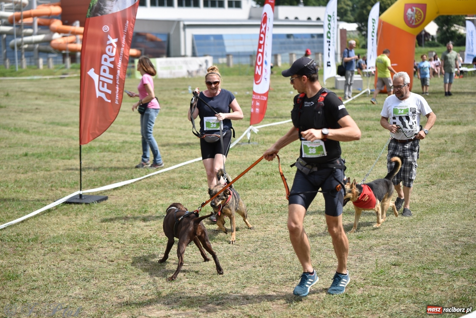Zdjęcie w galerii na portalu naszraciborz.pl: I raciborskie zawody w dogtrekkingu [FOTO i WIDEO] wiadomości z regionu