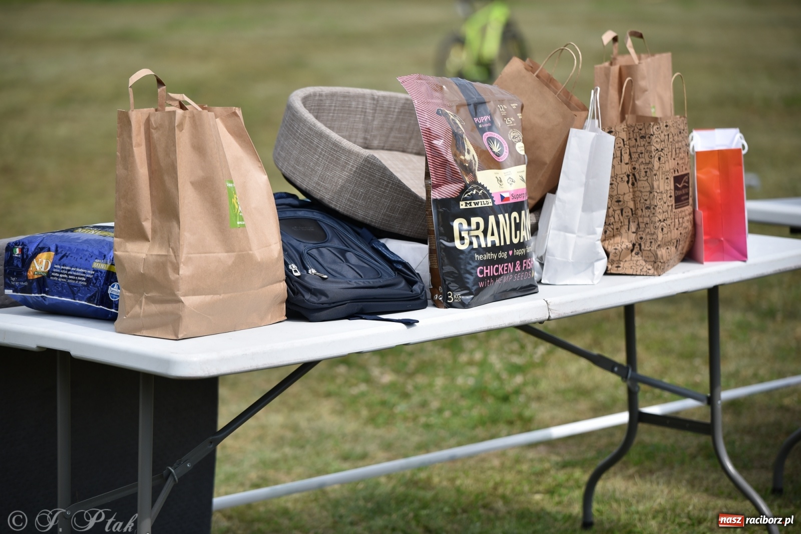 Zdjęcie w galerii na portalu naszraciborz.pl: I raciborskie zawody w dogtrekkingu [FOTO i WIDEO] wiadomości z regionu