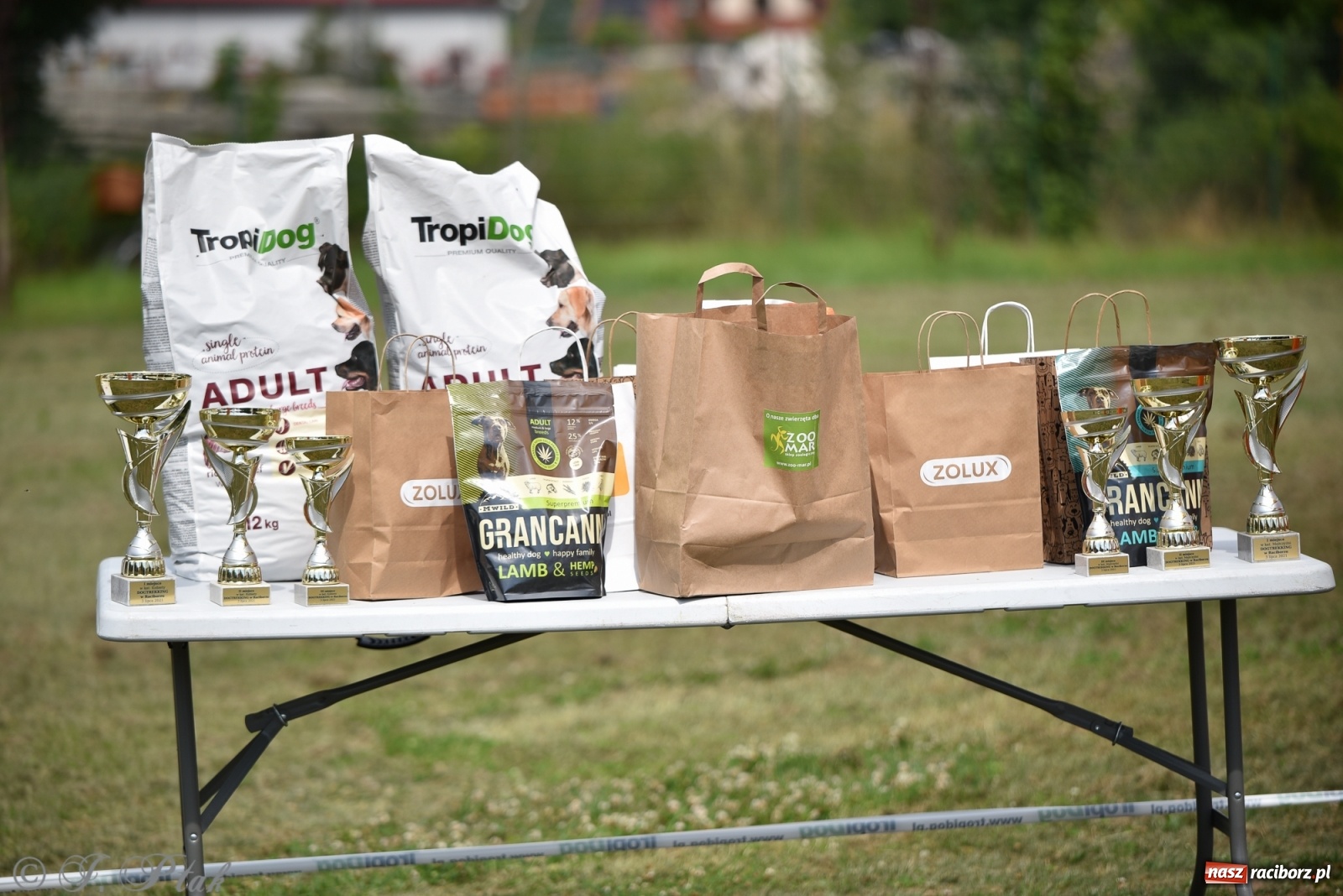 Zdjęcie w galerii na portalu naszraciborz.pl: I raciborskie zawody w dogtrekkingu [FOTO i WIDEO] wiadomości z regionu