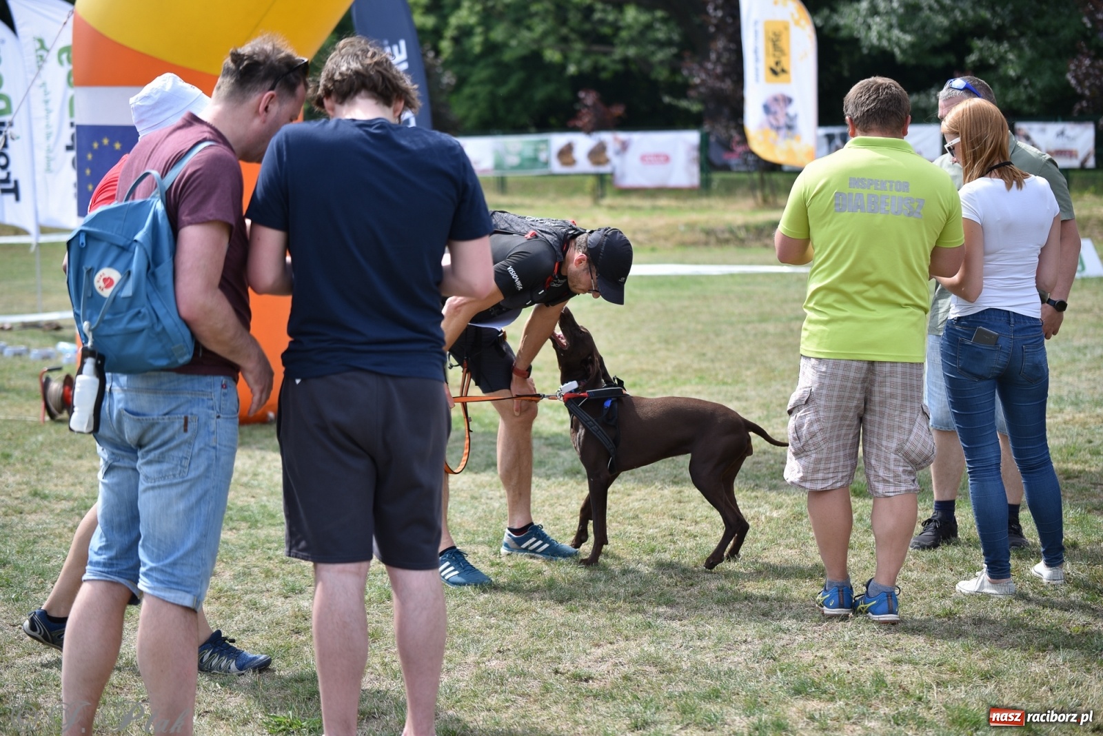Zdjęcie w galerii na portalu naszraciborz.pl: I raciborskie zawody w dogtrekkingu [FOTO i WIDEO] wiadomości z regionu
