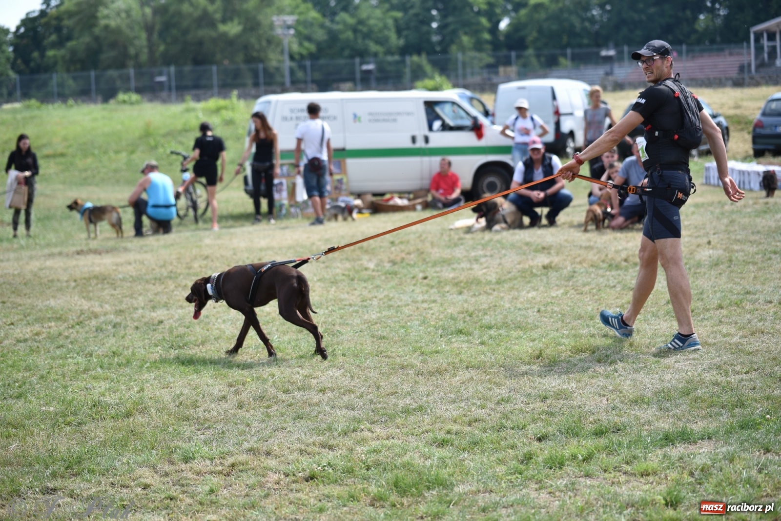 Zdjęcie w galerii na portalu naszraciborz.pl: I raciborskie zawody w dogtrekkingu [FOTO i WIDEO] wiadomości z regionu