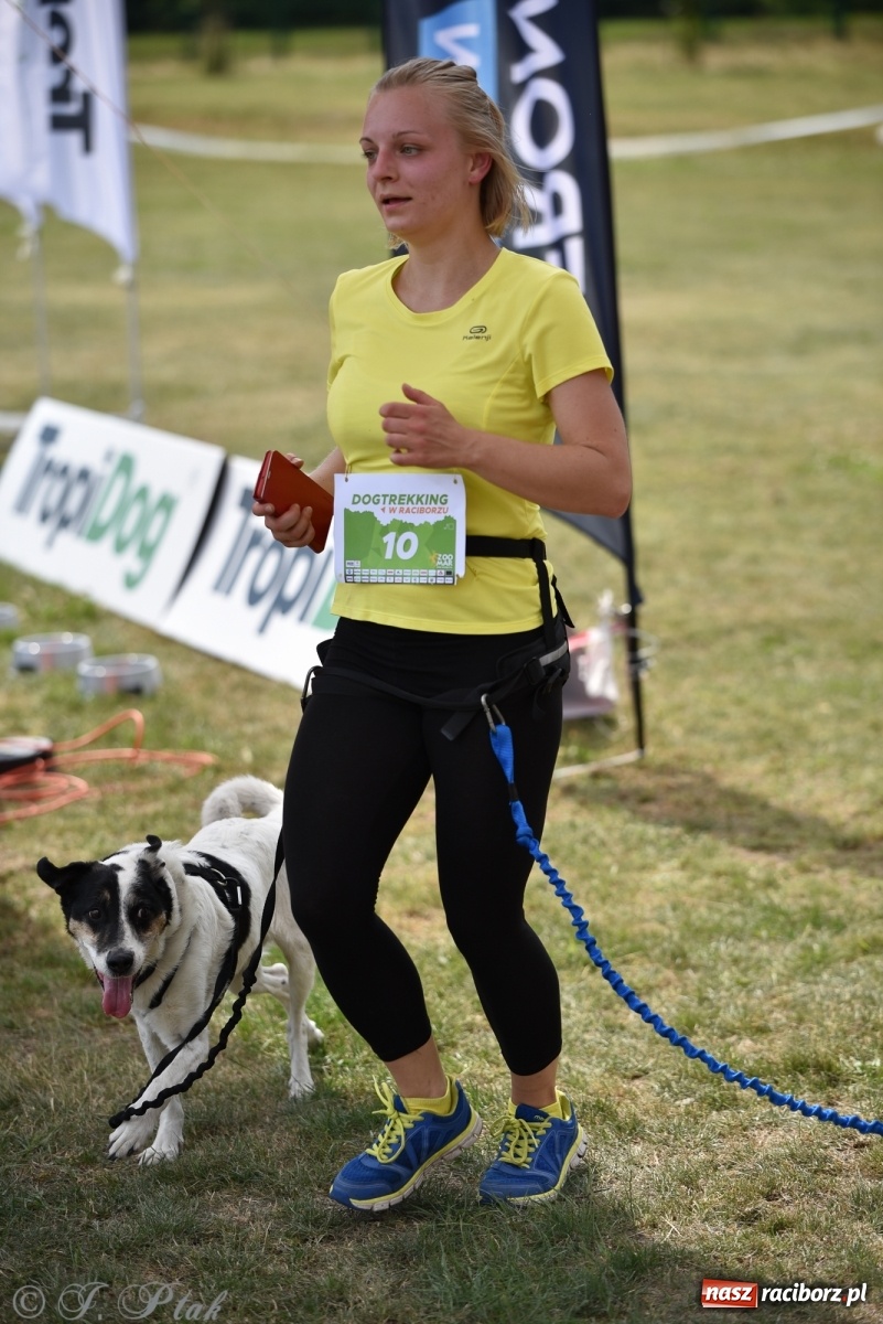 Zdjęcie w galerii na portalu naszraciborz.pl: I raciborskie zawody w dogtrekkingu [FOTO i WIDEO] wiadomości z regionu