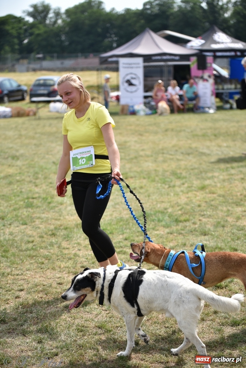 Zdjęcie w galerii na portalu naszraciborz.pl: I raciborskie zawody w dogtrekkingu [FOTO i WIDEO] wiadomości z regionu