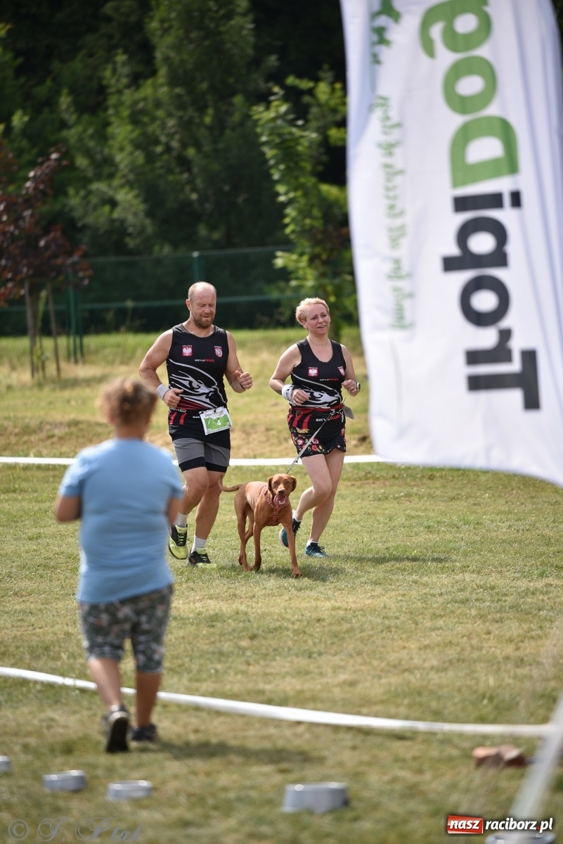 Zdjęcie w galerii na portalu naszraciborz.pl: I raciborskie zawody w dogtrekkingu [FOTO i WIDEO] wiadomości z regionu