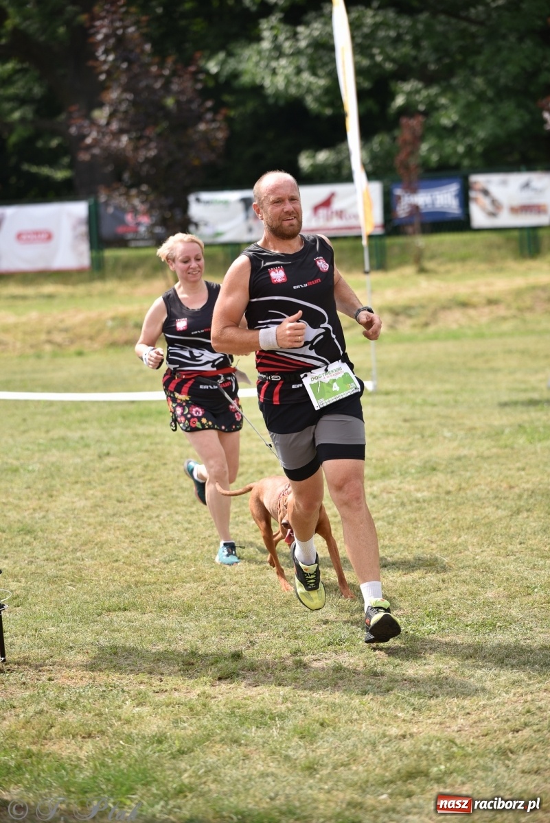 Zdjęcie w galerii na portalu naszraciborz.pl: I raciborskie zawody w dogtrekkingu [FOTO i WIDEO] wiadomości z regionu