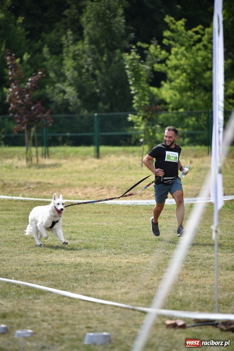 Zdjęcie w galerii na portalu naszraciborz.pl: I raciborskie zawody w dogtrekkingu [FOTO i WIDEO] wiadomości z regionu