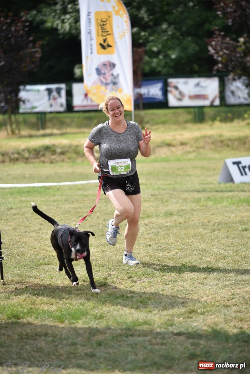 Zdjęcie w galerii na portalu naszraciborz.pl: I raciborskie zawody w dogtrekkingu [FOTO i WIDEO] wiadomości z regionu