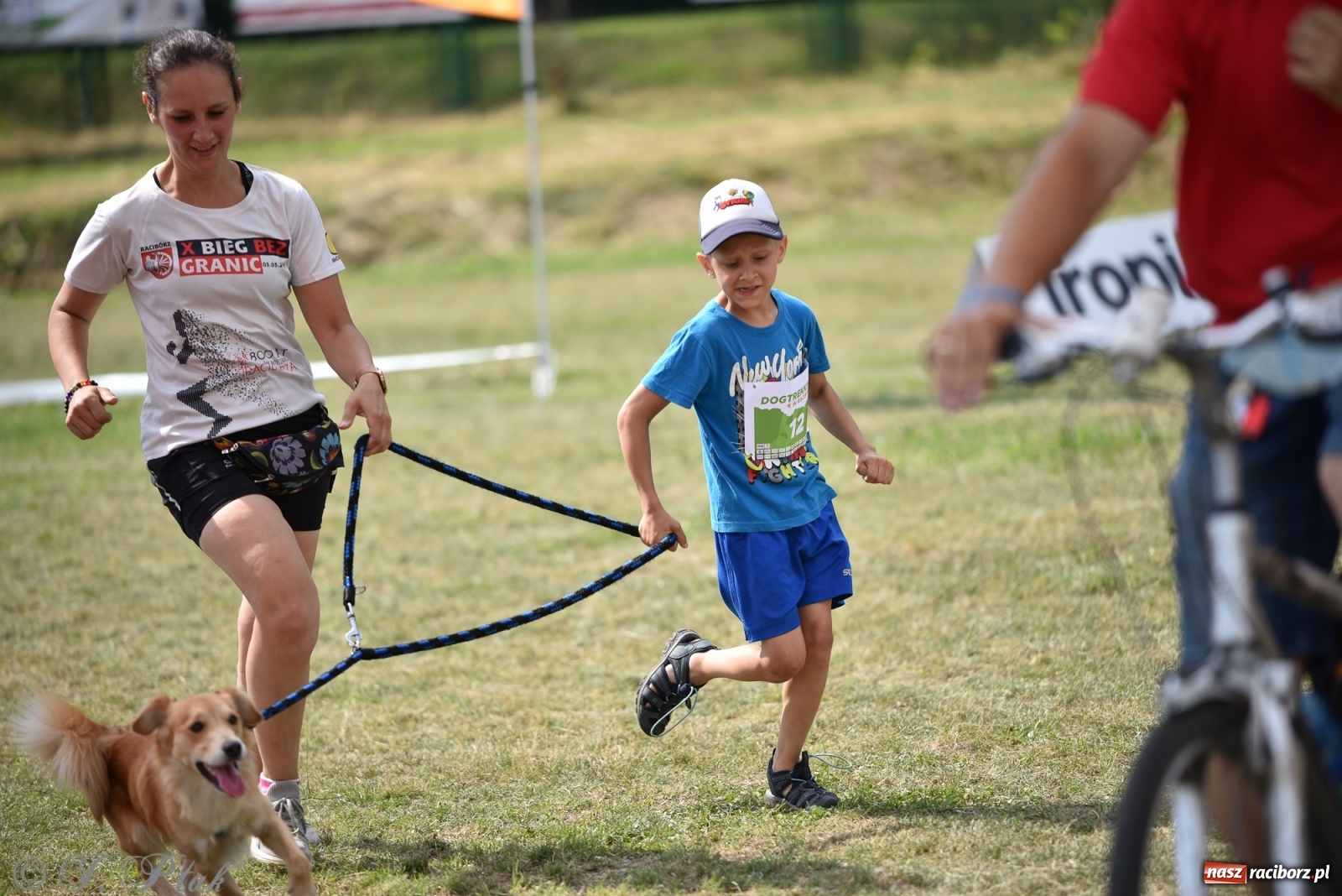 Zdjęcie w galerii na portalu naszraciborz.pl: I raciborskie zawody w dogtrekkingu [FOTO i WIDEO] wiadomości z regionu