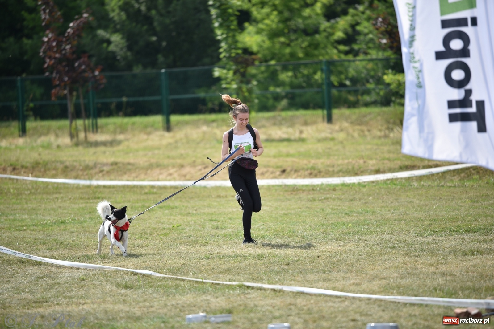 Zdjęcie w galerii na portalu naszraciborz.pl: I raciborskie zawody w dogtrekkingu [FOTO i WIDEO] wiadomości z regionu