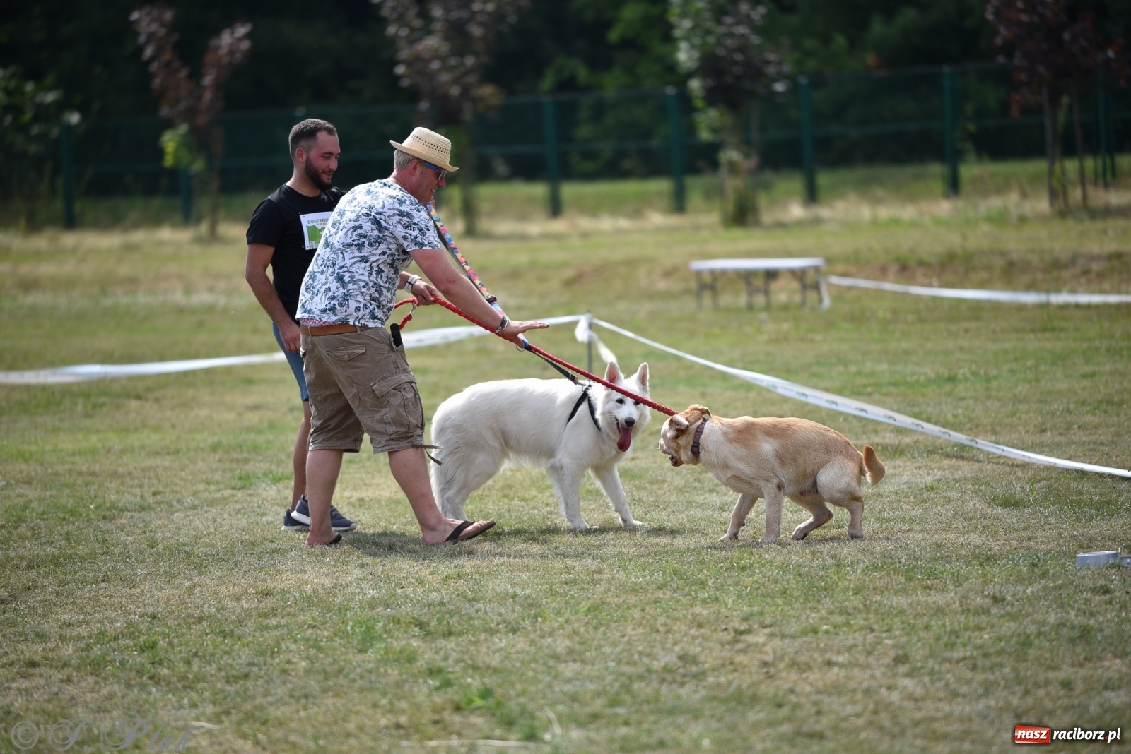 Zdjęcie w galerii na portalu naszraciborz.pl: I raciborskie zawody w dogtrekkingu [FOTO i WIDEO] wiadomości z regionu