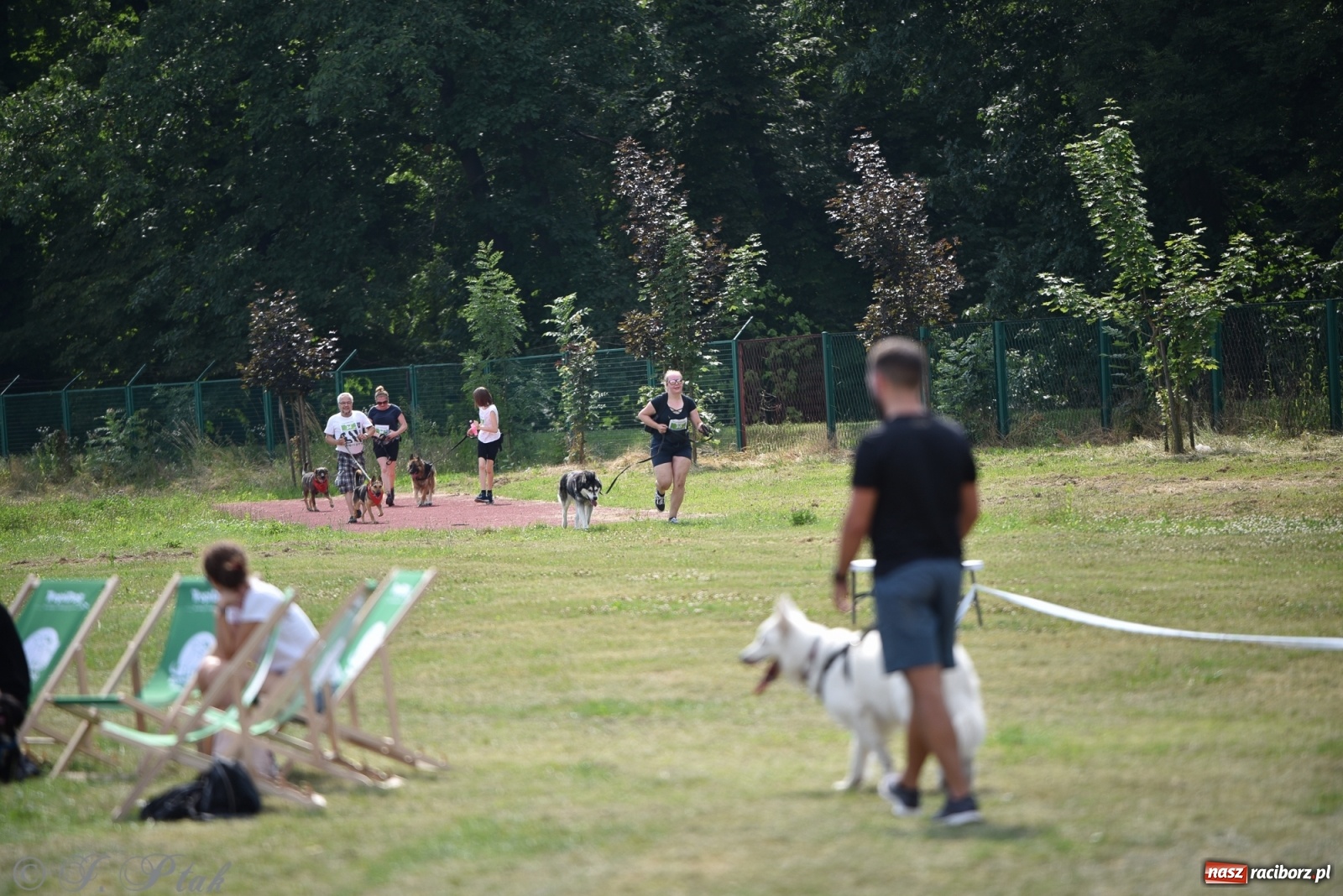 Zdjęcie w galerii na portalu naszraciborz.pl: I raciborskie zawody w dogtrekkingu [FOTO i WIDEO] wiadomości z regionu
