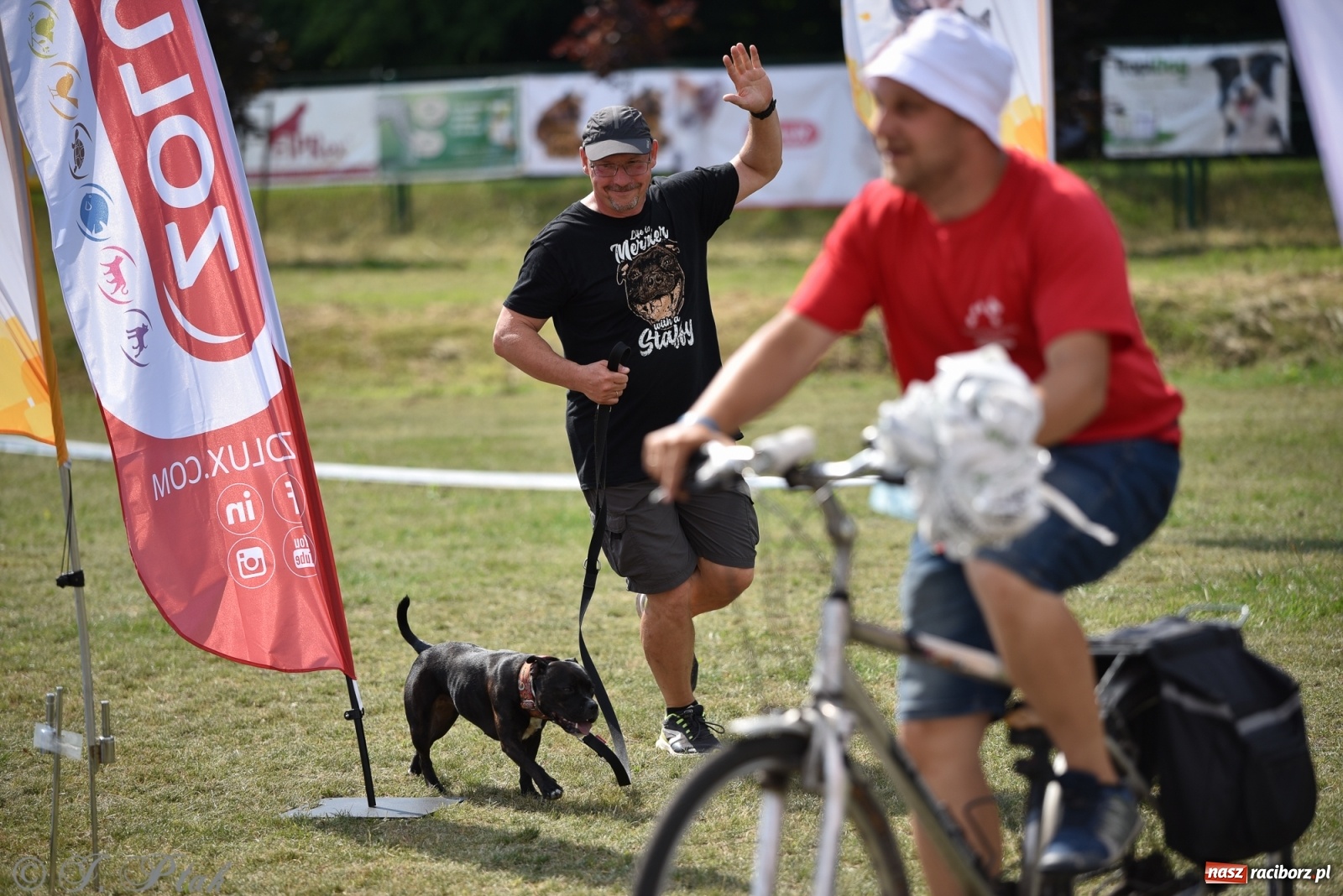 Zdjęcie w galerii na portalu naszraciborz.pl: I raciborskie zawody w dogtrekkingu [FOTO i WIDEO] wiadomości z regionu