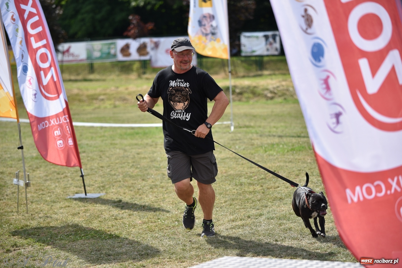 Zdjęcie w galerii na portalu naszraciborz.pl: I raciborskie zawody w dogtrekkingu [FOTO i WIDEO] wiadomości z regionu