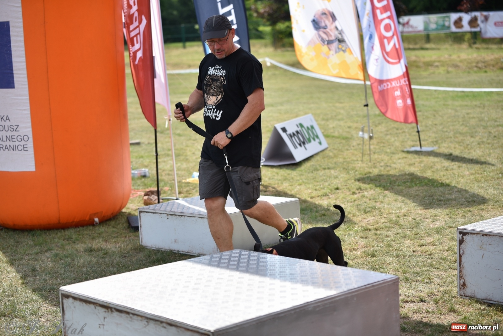 Zdjęcie w galerii na portalu naszraciborz.pl: I raciborskie zawody w dogtrekkingu [FOTO i WIDEO] wiadomości z regionu