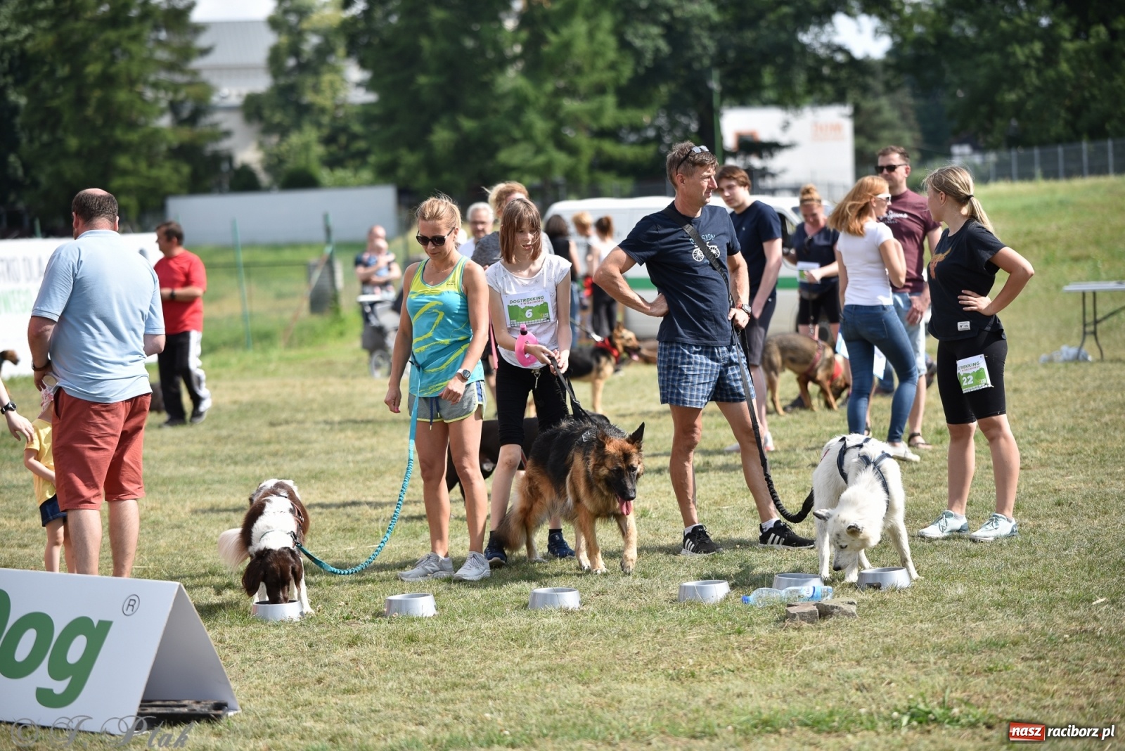 Zdjęcie w galerii na portalu naszraciborz.pl: I raciborskie zawody w dogtrekkingu [FOTO i WIDEO] wiadomości z regionu