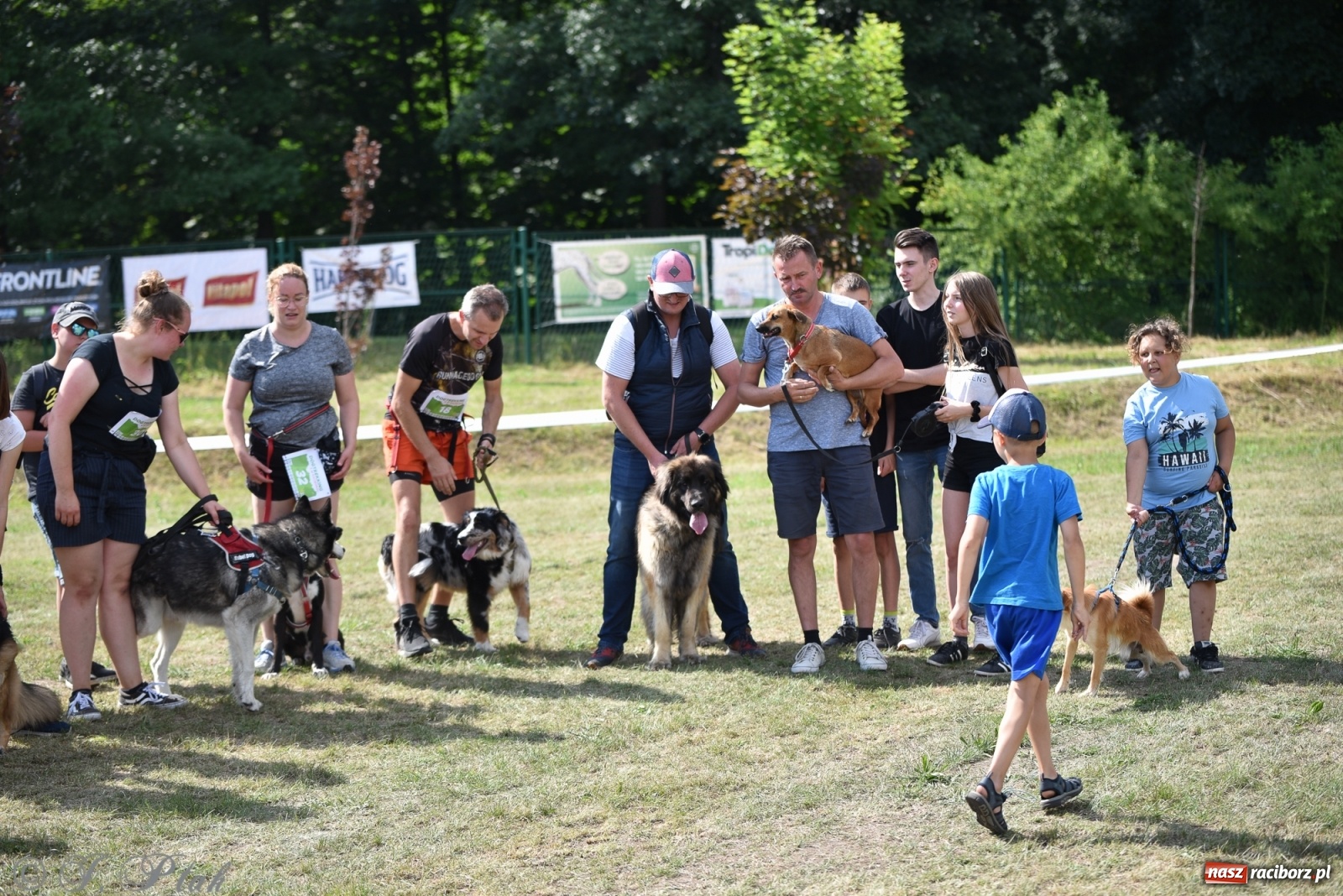 Zdjęcie w galerii na portalu naszraciborz.pl: I raciborskie zawody w dogtrekkingu [FOTO i WIDEO] wiadomości z regionu
