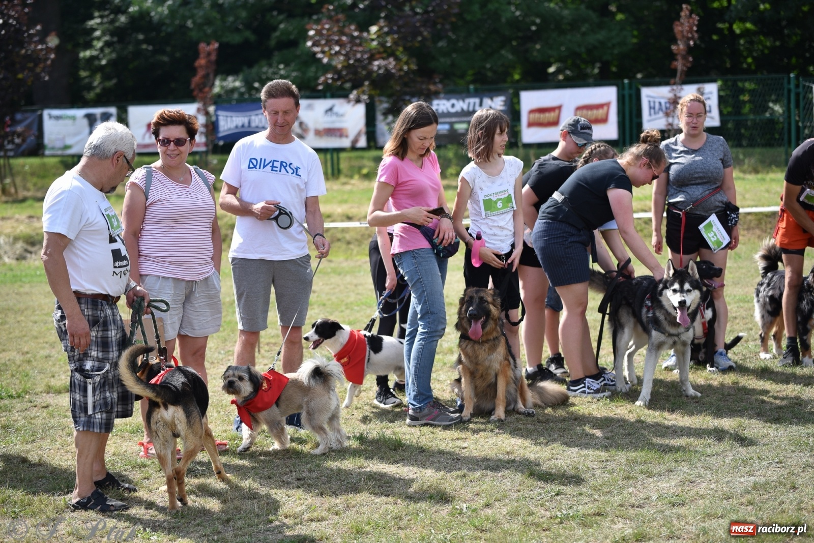 Zdjęcie w galerii na portalu naszraciborz.pl: I raciborskie zawody w dogtrekkingu [FOTO i WIDEO] wiadomości z regionu
