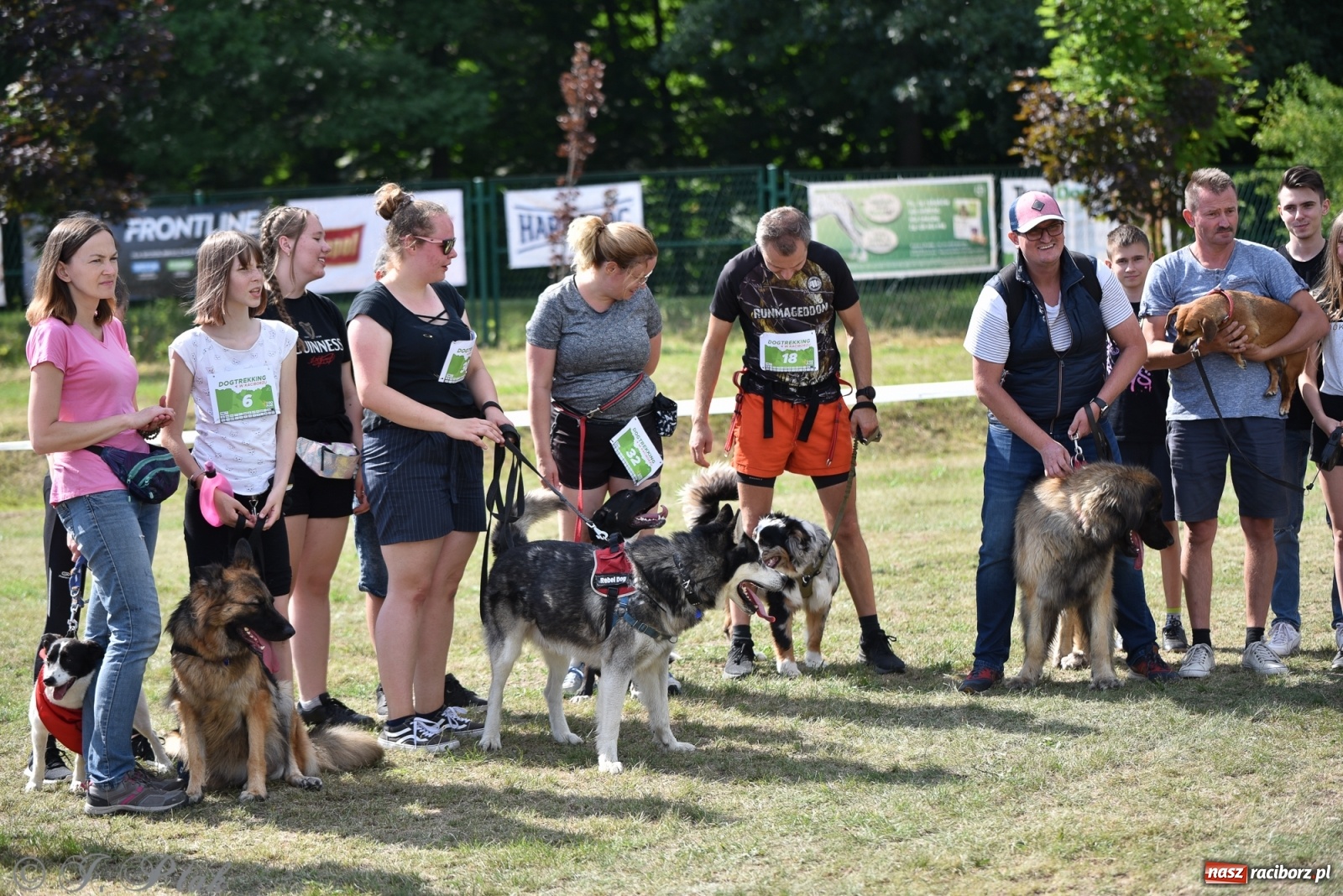 Zdjęcie w galerii na portalu naszraciborz.pl: I raciborskie zawody w dogtrekkingu [FOTO i WIDEO] wiadomości z regionu