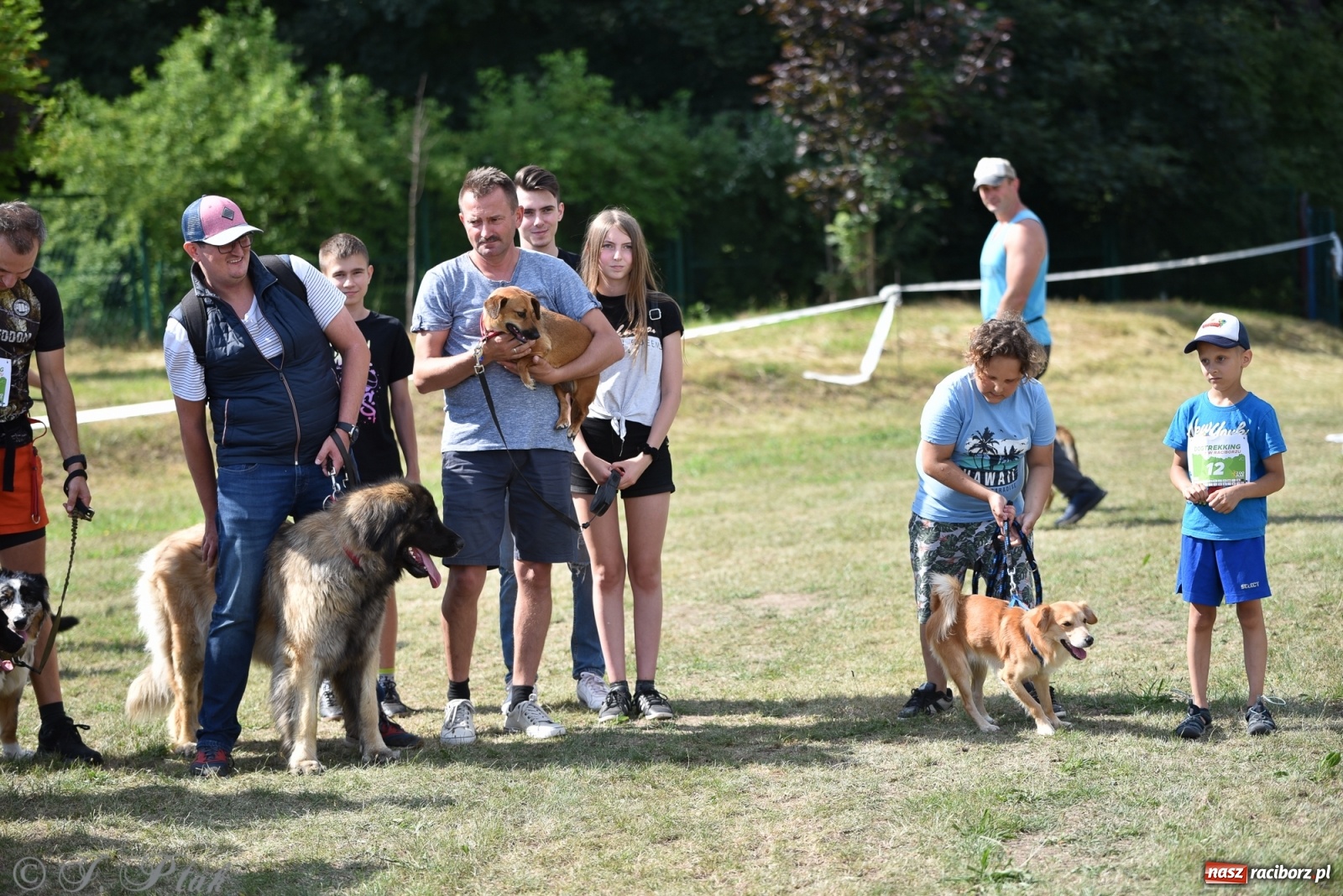 Zdjęcie w galerii na portalu naszraciborz.pl: I raciborskie zawody w dogtrekkingu [FOTO i WIDEO] wiadomości z regionu