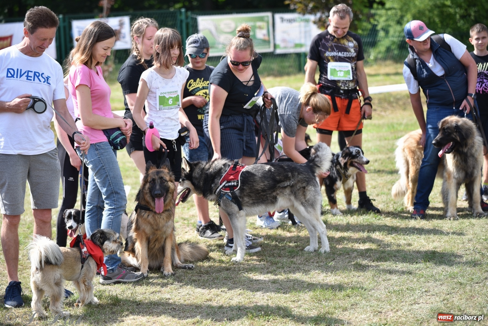 Zdjęcie w galerii na portalu naszraciborz.pl: I raciborskie zawody w dogtrekkingu [FOTO i WIDEO] wiadomości z regionu