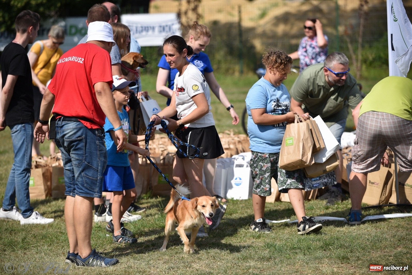 Zdjęcie w galerii na portalu naszraciborz.pl: I raciborskie zawody w dogtrekkingu [FOTO i WIDEO] wiadomości z regionu