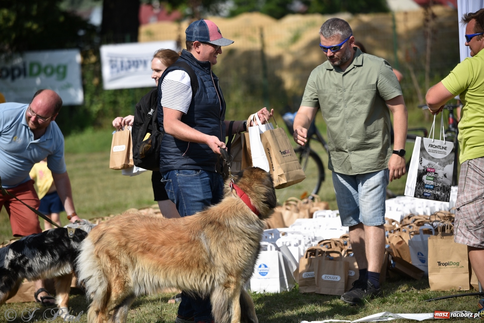 Zdjęcie w galerii na portalu naszraciborz.pl: I raciborskie zawody w dogtrekkingu [FOTO i WIDEO] wiadomości z regionu