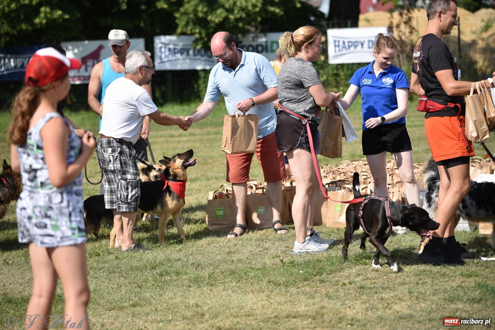 Zdjęcie w galerii na portalu naszraciborz.pl: I raciborskie zawody w dogtrekkingu [FOTO i WIDEO] wiadomości z regionu