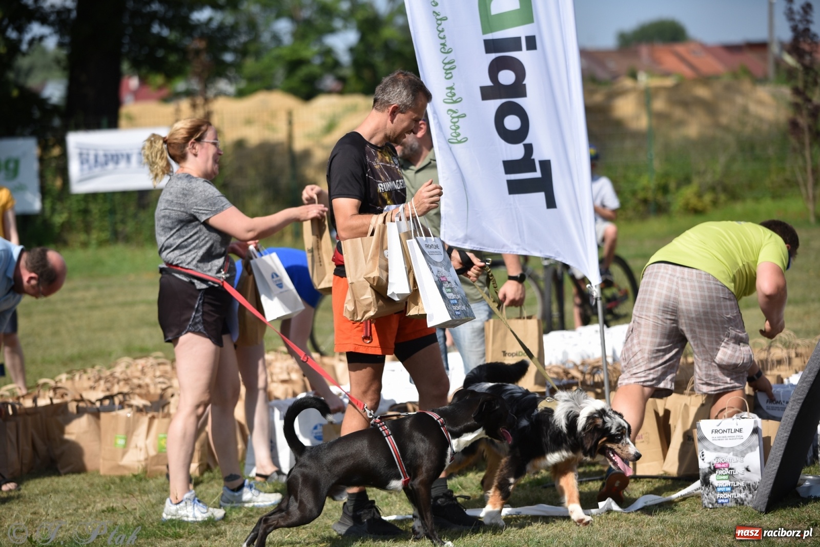 Zdjęcie w galerii na portalu naszraciborz.pl: I raciborskie zawody w dogtrekkingu [FOTO i WIDEO] wiadomości z regionu