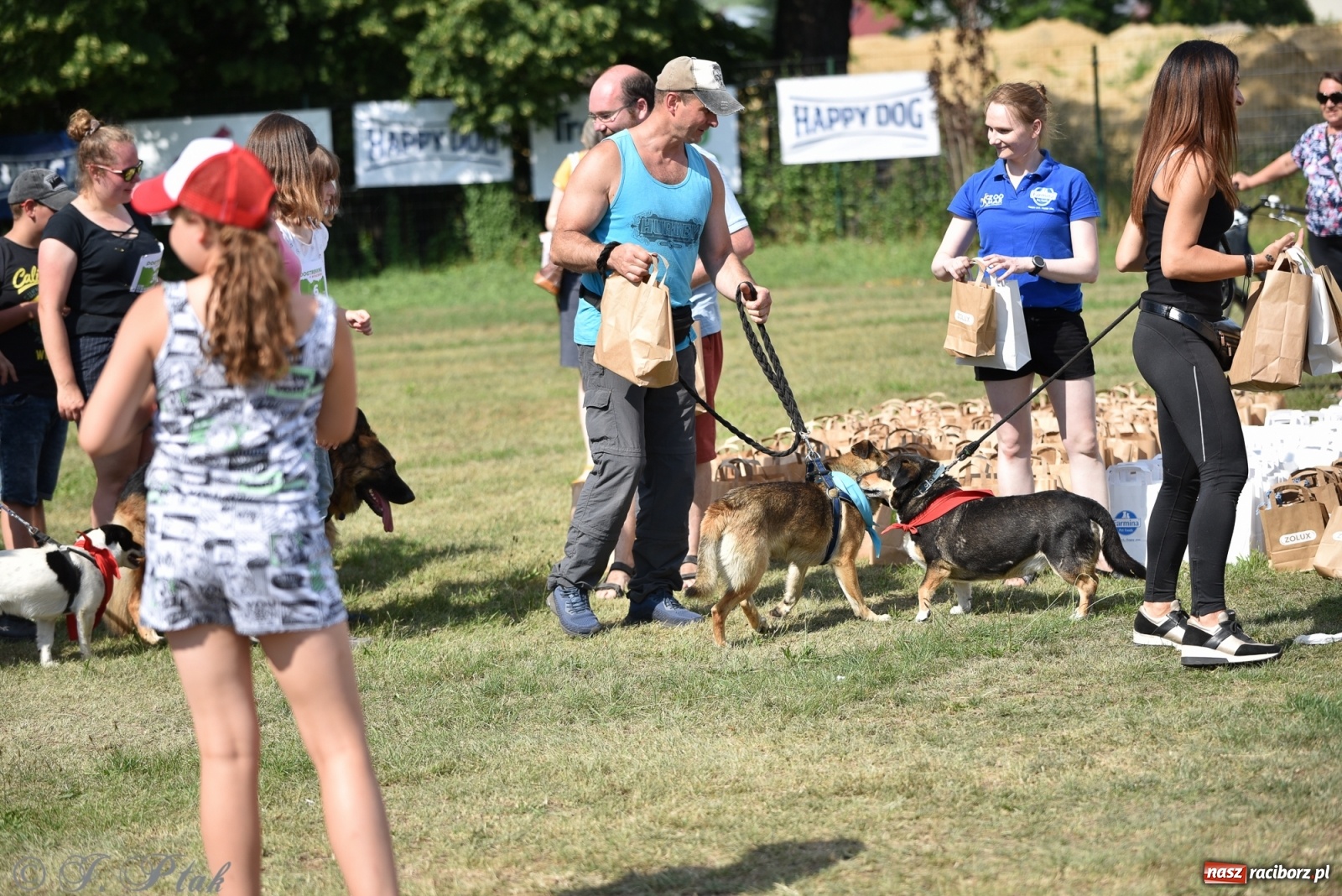 Zdjęcie w galerii na portalu naszraciborz.pl: I raciborskie zawody w dogtrekkingu [FOTO i WIDEO] wiadomości z regionu