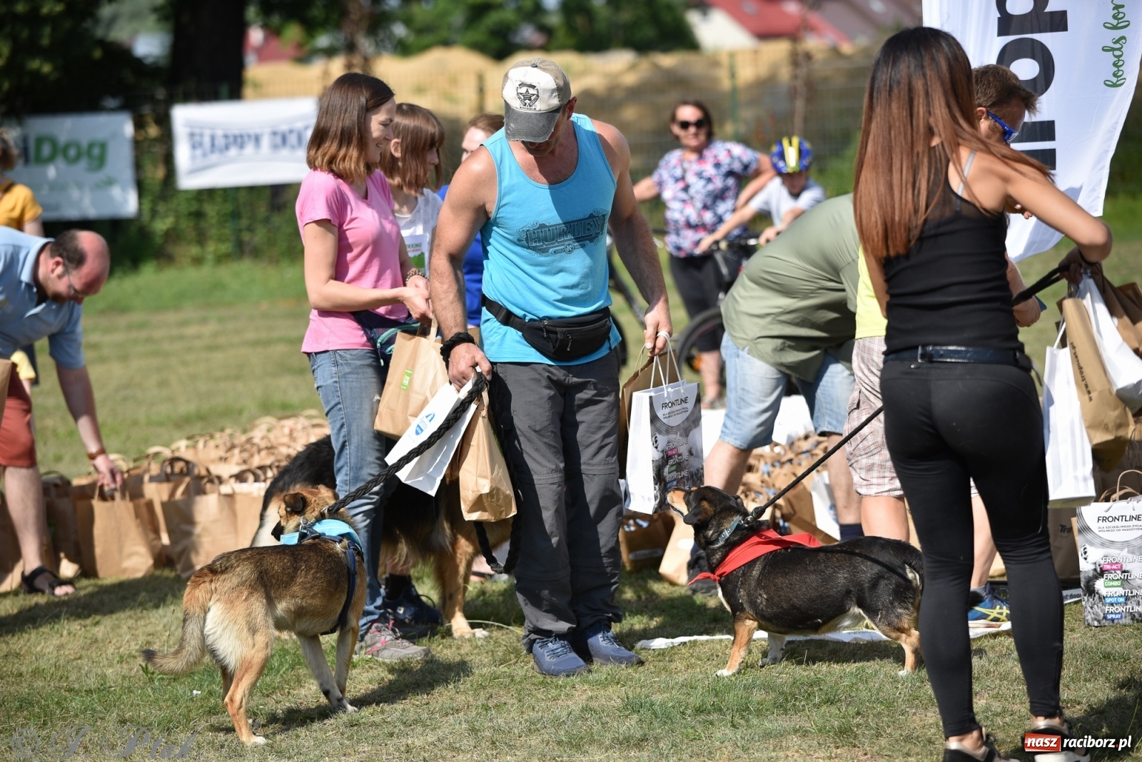 Zdjęcie w galerii na portalu naszraciborz.pl: I raciborskie zawody w dogtrekkingu [FOTO i WIDEO] wiadomości z regionu