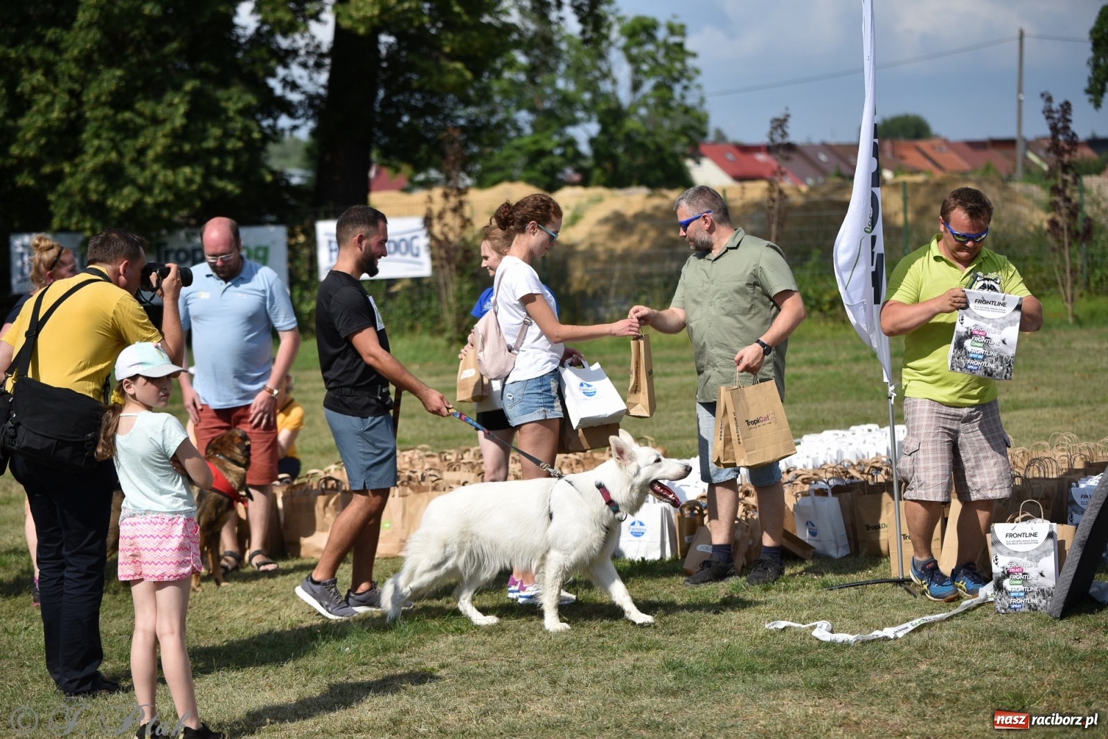 Zdjęcie w galerii na portalu naszraciborz.pl: I raciborskie zawody w dogtrekkingu [FOTO i WIDEO] wiadomości z regionu