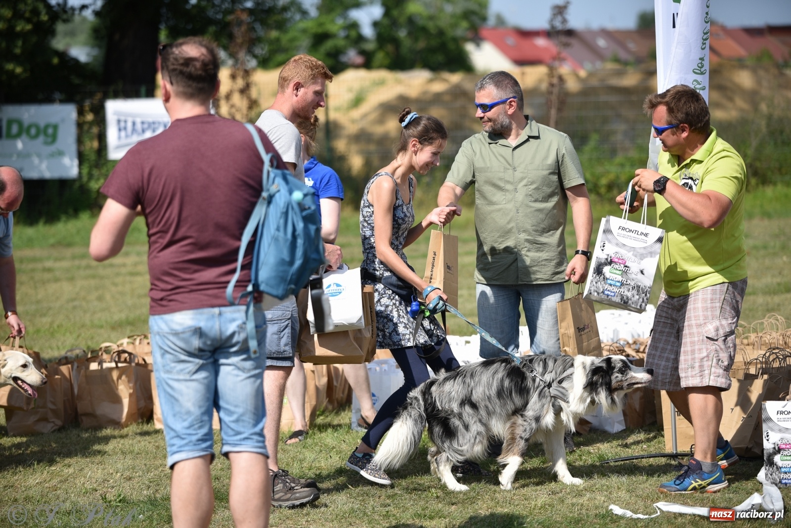Zdjęcie w galerii na portalu naszraciborz.pl: I raciborskie zawody w dogtrekkingu [FOTO i WIDEO] wiadomości z regionu
