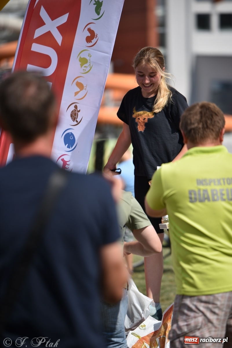 Zdjęcie w galerii na portalu naszraciborz.pl: I raciborskie zawody w dogtrekkingu [FOTO i WIDEO] wiadomości z regionu